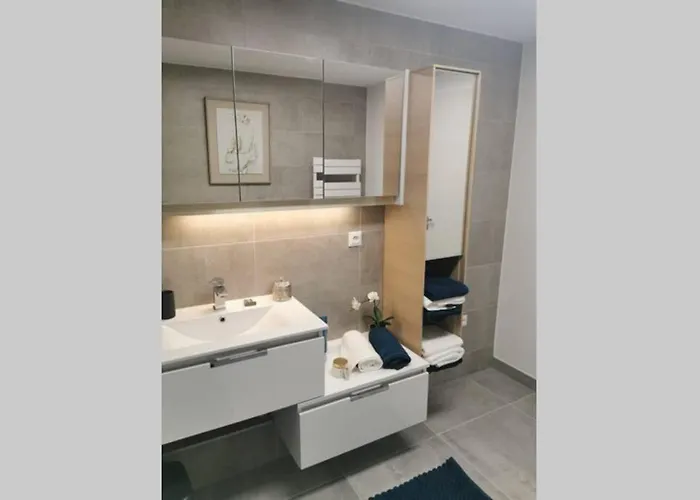 Magnifique Et Grand Trois Pieces Avec Belle Terrasse Meublee Et Arboree 스트라스부르