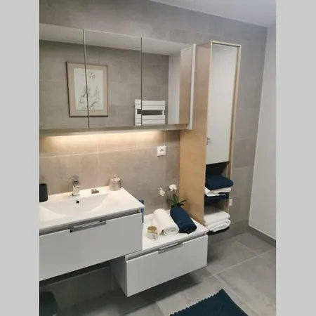 Magnifique Et Grand Trois Pieces Avec Belle Terrasse Meublee Et Arboree Strasbourg