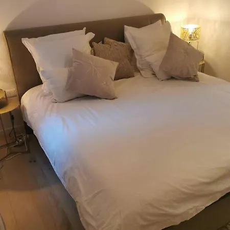 Magnifique Et Grand Trois Pieces Avec Belle Terrasse Meublee Et Arboree Strasbourg