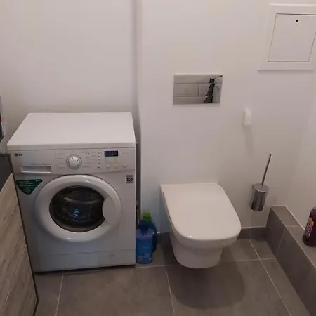 Apartman Magnifique Et Grand Trois Pieces Avec Belle Terrasse Meublee Et Arboree Strasbourg